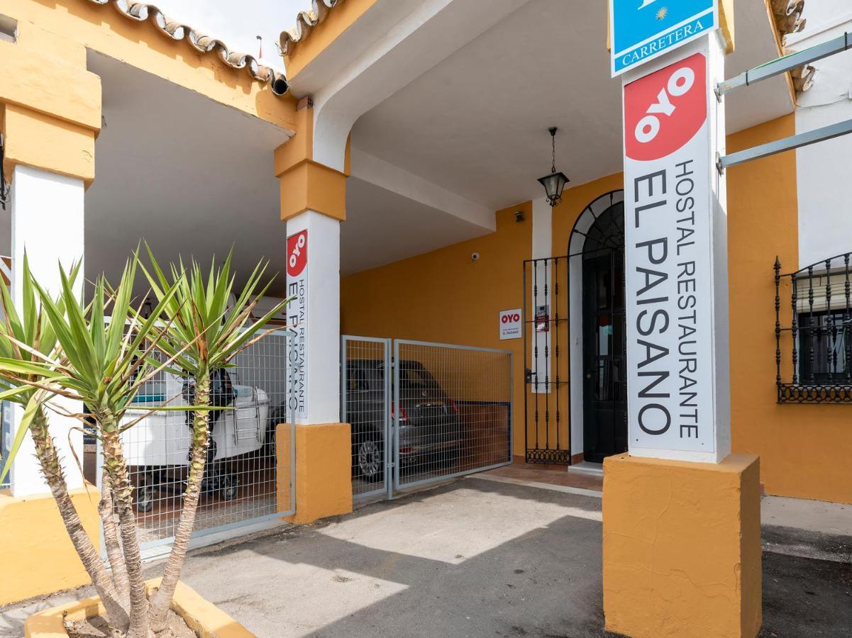 Oyo El Paisano